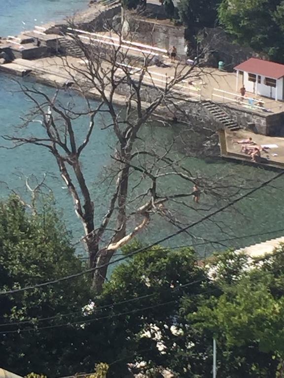 Villa Dinka Vip Apartmani Opatija Exterior foto